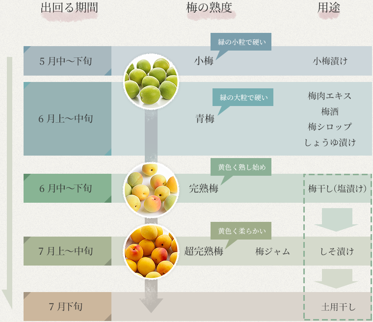 梅仕事ごよみカレンダー