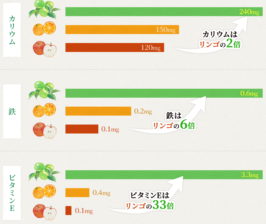 カリウム の 多い 食べ物